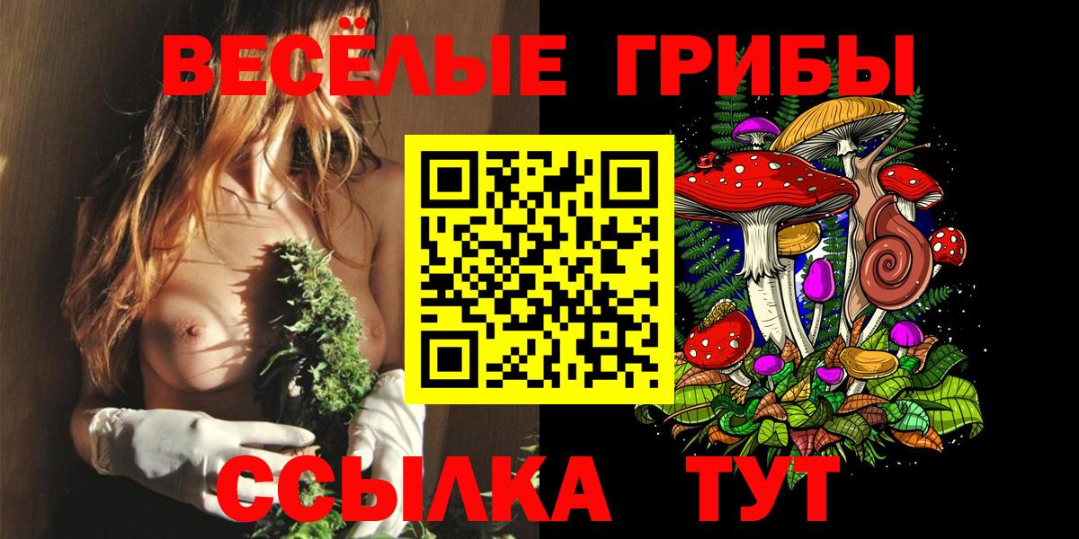 Красногорск  Галлюциногенные грибы GOLDEN TEACHER  Вход с VPN 