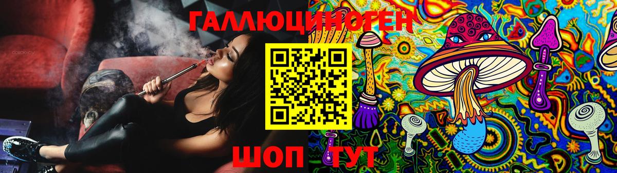 Галлюциногенные грибы Psilocybe Красногорск